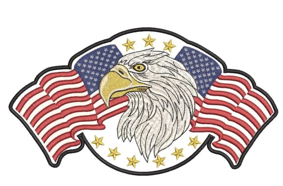 American Flag and Eagle: A Designer's Review for Boutique Sweatshirts